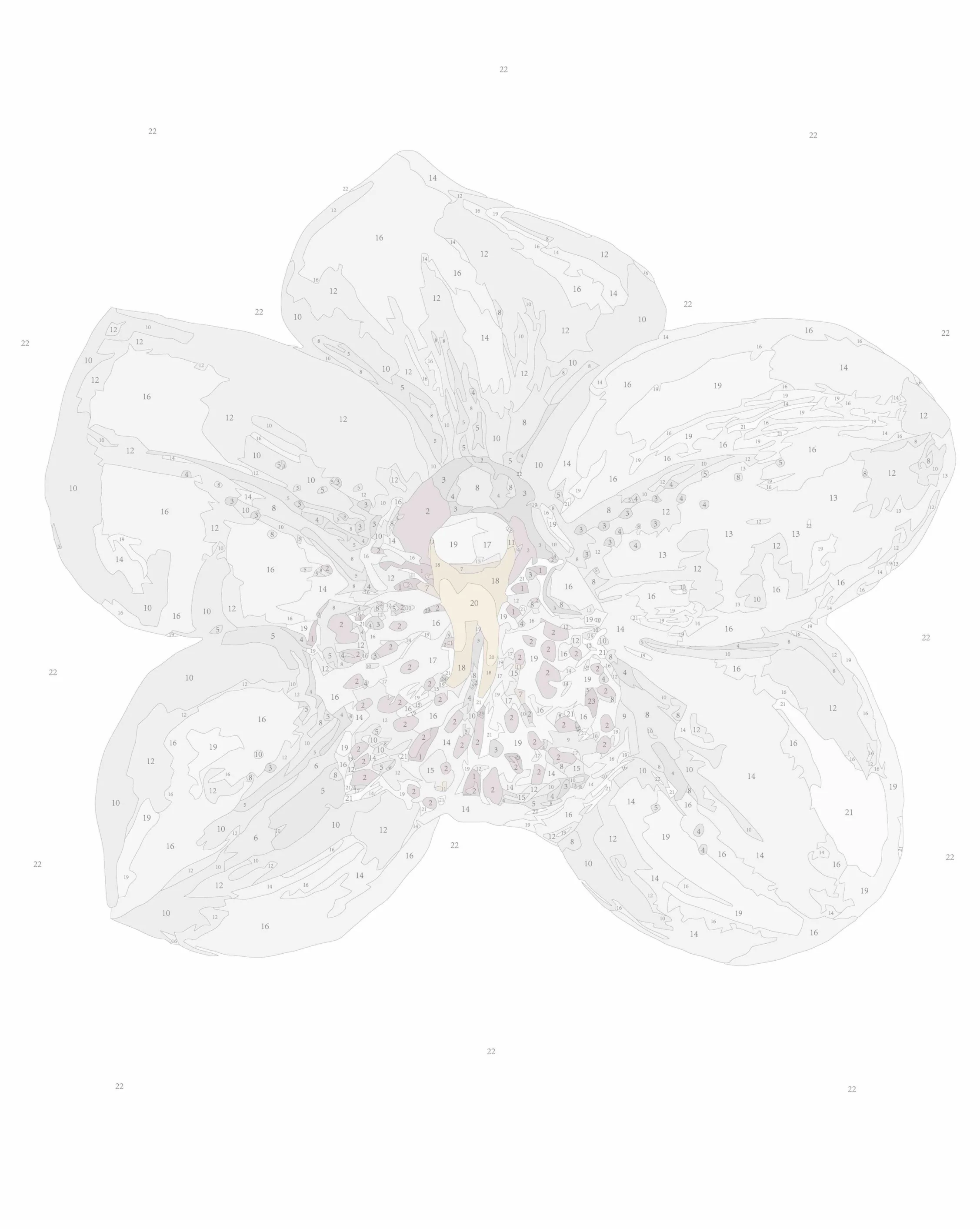 Orchid I (Rolled) - Image 2